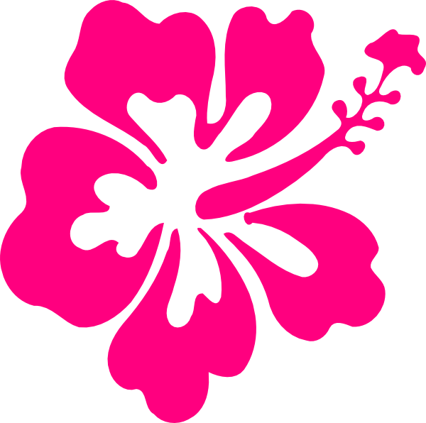 A Pink Flower On A Black Background