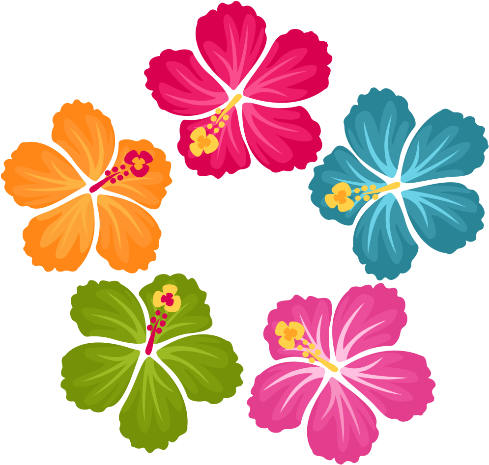 A Group Of Colorful Flowers