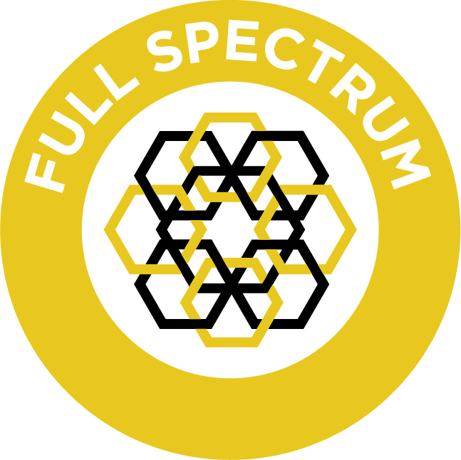 A Yellow Circle With Black And Yellow Hexagons