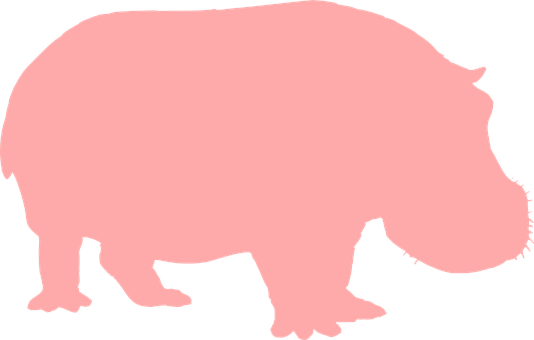 A Pink Animal On A Black Background