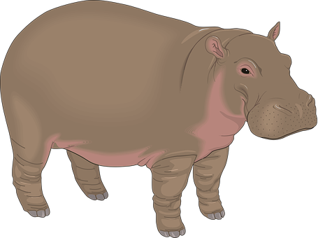 A Hippo With A Black Background