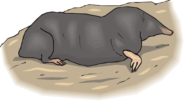 A Cartoon Of A Mole