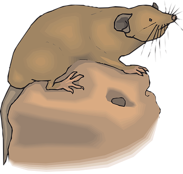 A Cartoon Of A Rat On A Rock