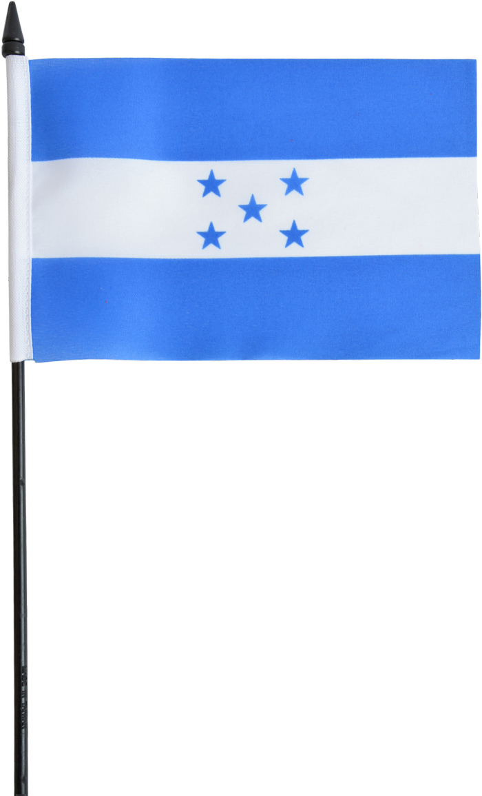 A Blue And White Flag With Stars On It