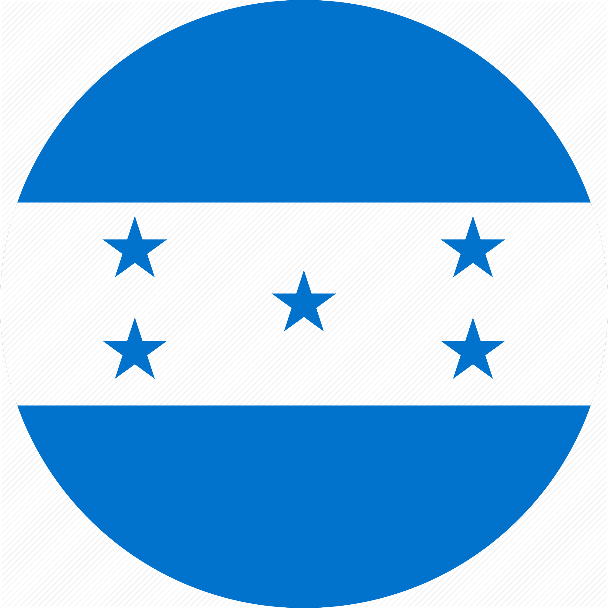 A Blue And White Flag With Stars