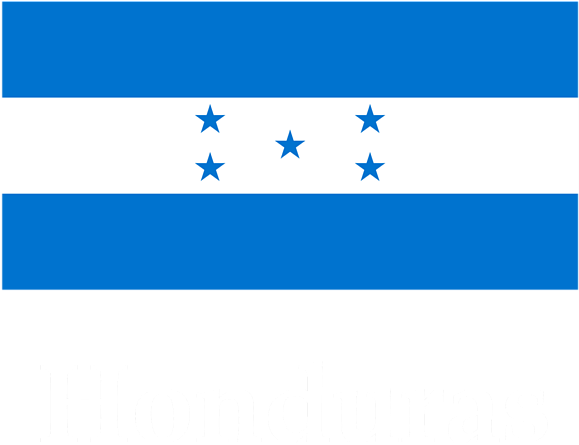 A Blue And White Flag With White Text