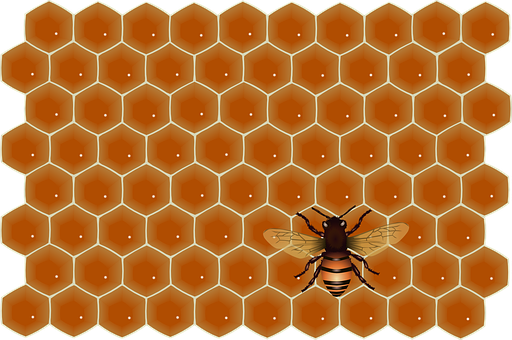 A Bee On A Honeycomb