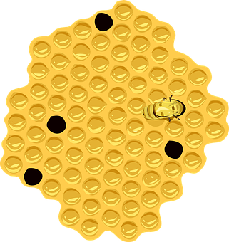 A Bee On A Honeycomb