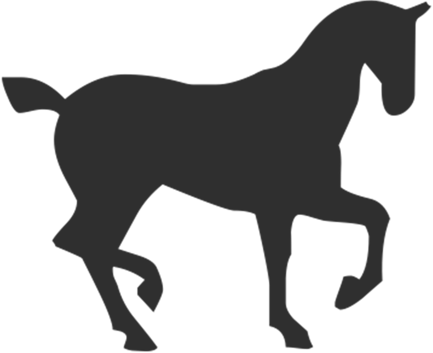 Horse Png 883 X 720