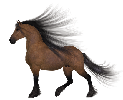 A Brown Horse With Black Hair