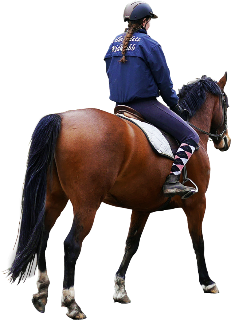 A Woman Riding A Horse