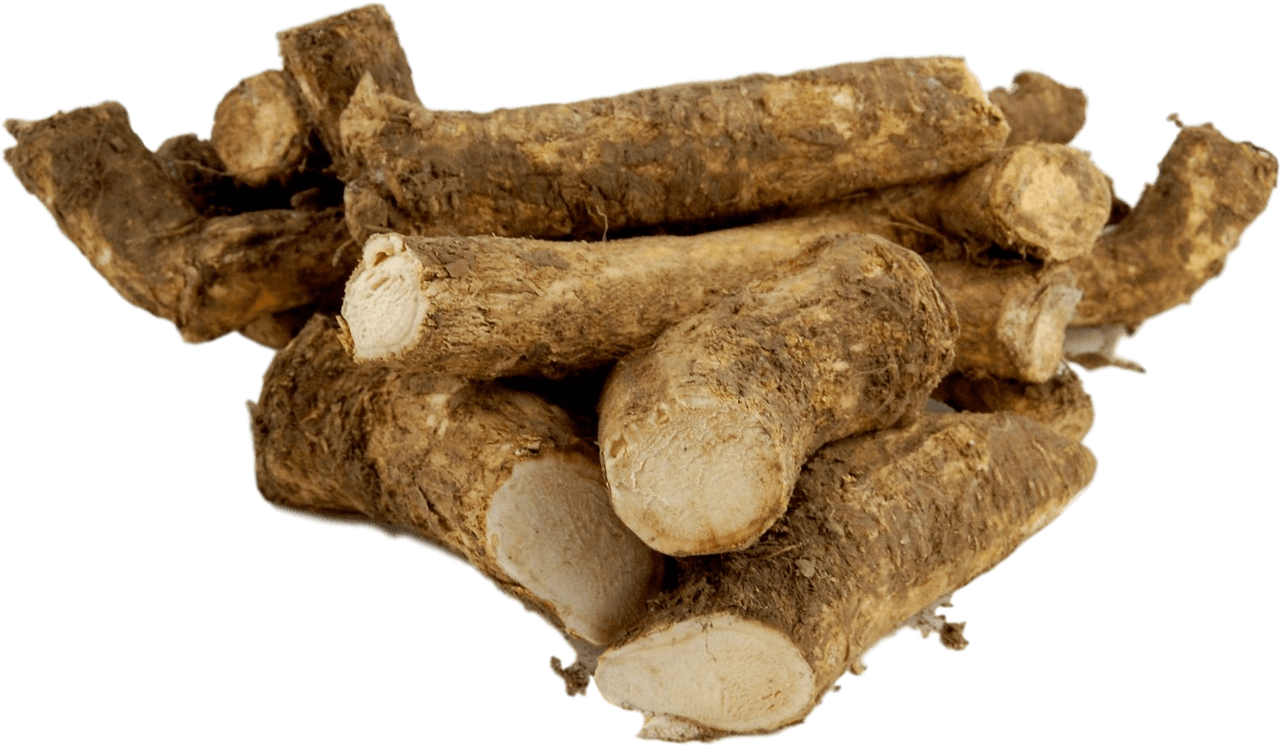 A Pile Of Cut Root
