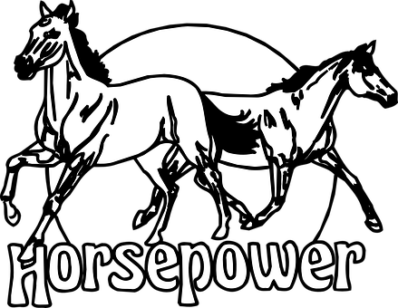 A Group Of Horses With White Text