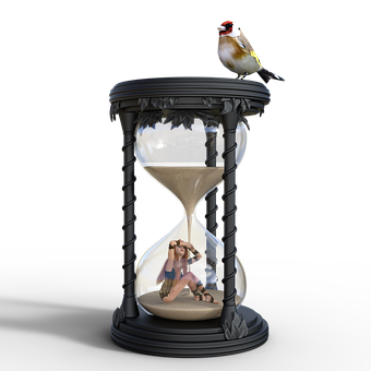 A Bird Sitting On A Hourglass