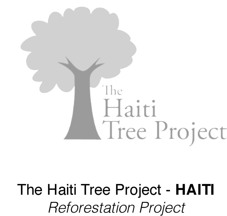 A Logo Of A Tree