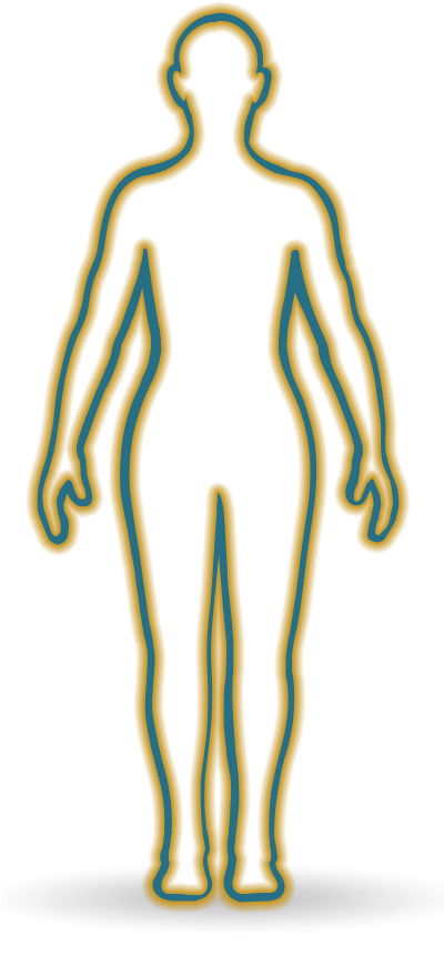 A Body Outline With Blue Lines