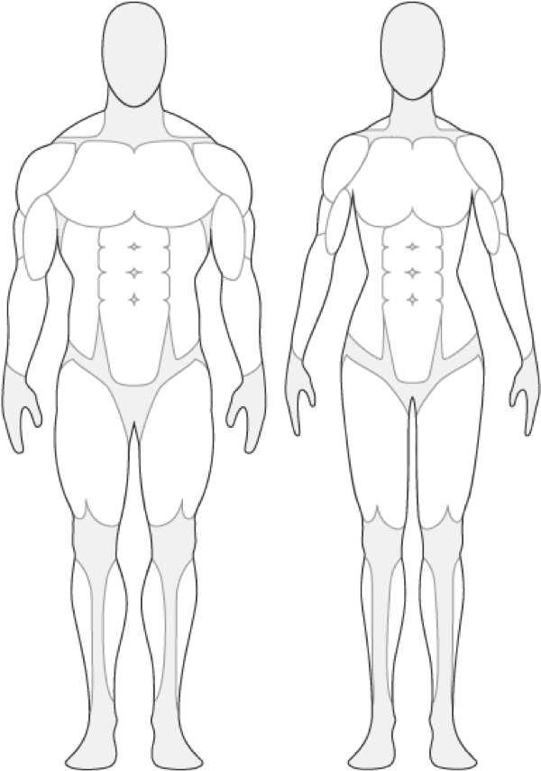 A Man And Woman Body Parts
