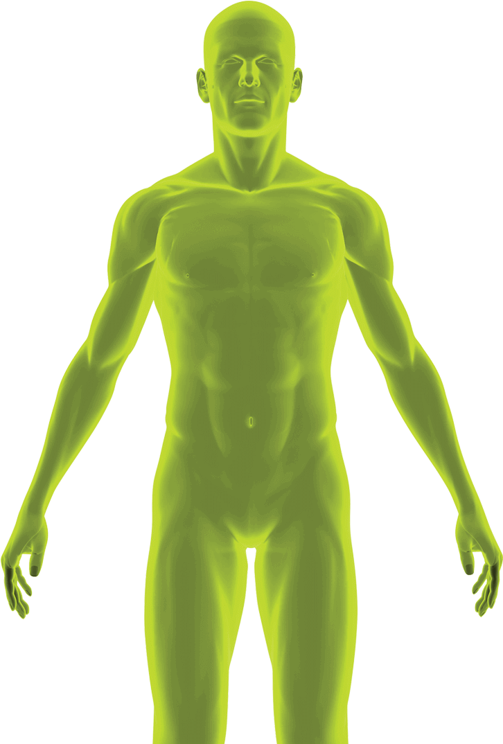 A Green Human Body With Black Background