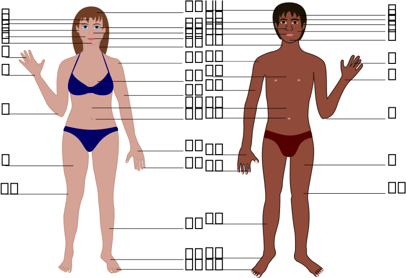 A Man And Woman In Swimsuits