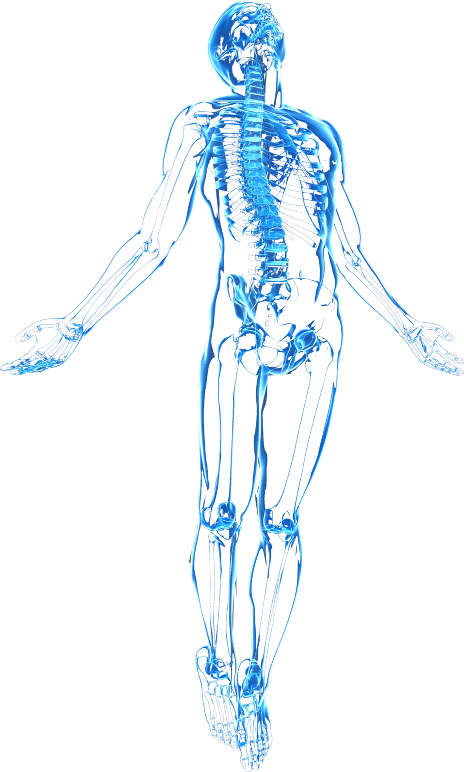A Skeleton With Arms Outstretched