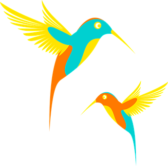 A Couple Of Colorful Birds