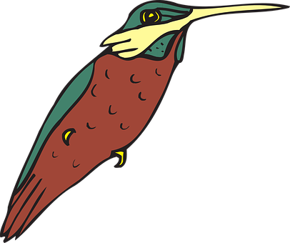 A Colorful Bird With A Long Beak
