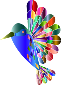 A Colorful Bird With Many Colors