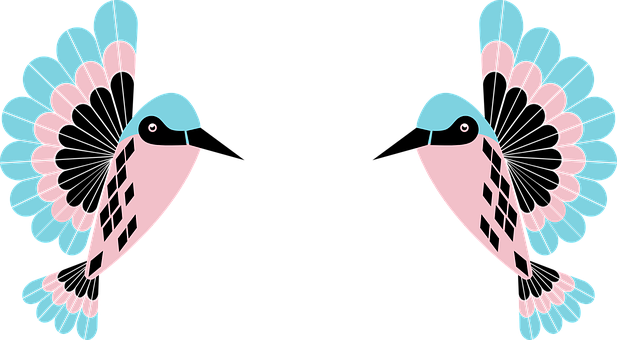 A Couple Of Pink And Blue Birds