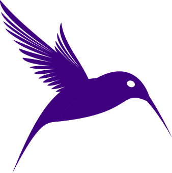 A Purple Bird With Long Beak