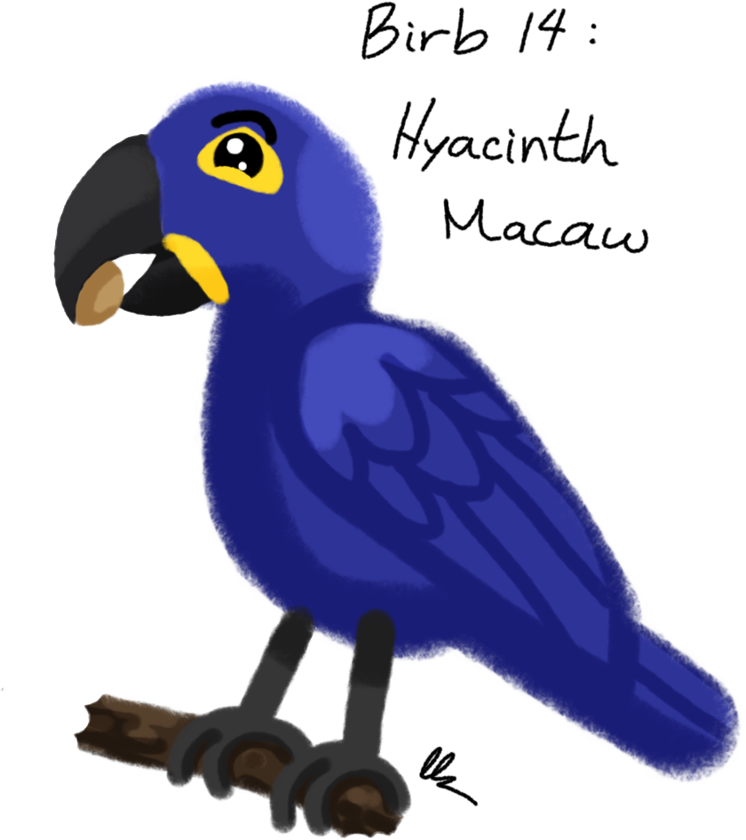 A Blue Bird With A Nut On Its Leg