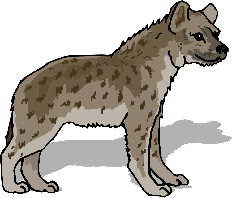 A Spotted Hyena With A Black Background