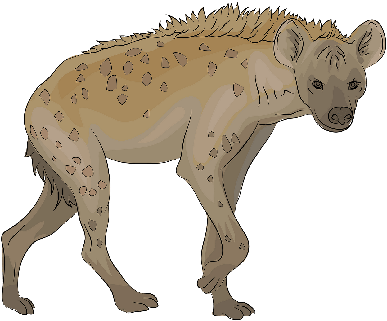 A Cartoon Of A Hyena