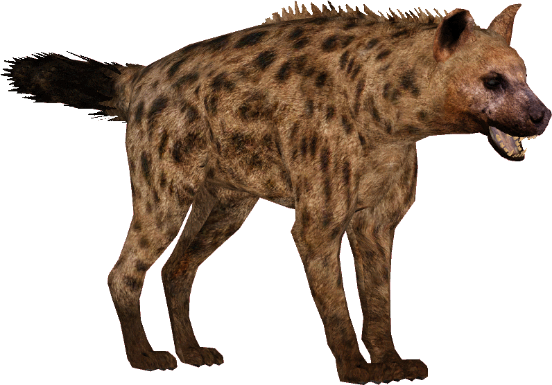 A Brown Spotted Hyena With Black Spots