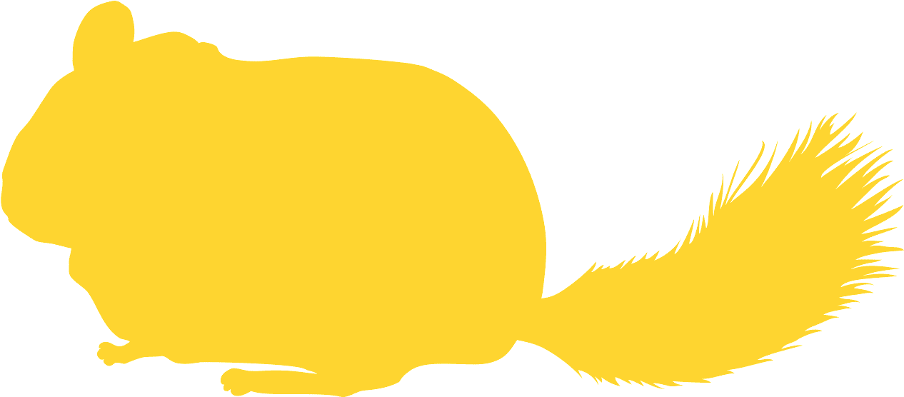 A Yellow Animal With A Black Background