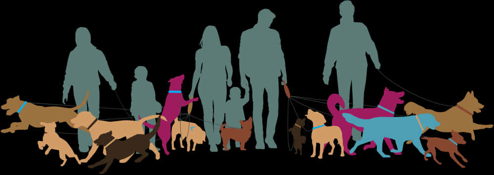 A Group Of People Walking Dogs
