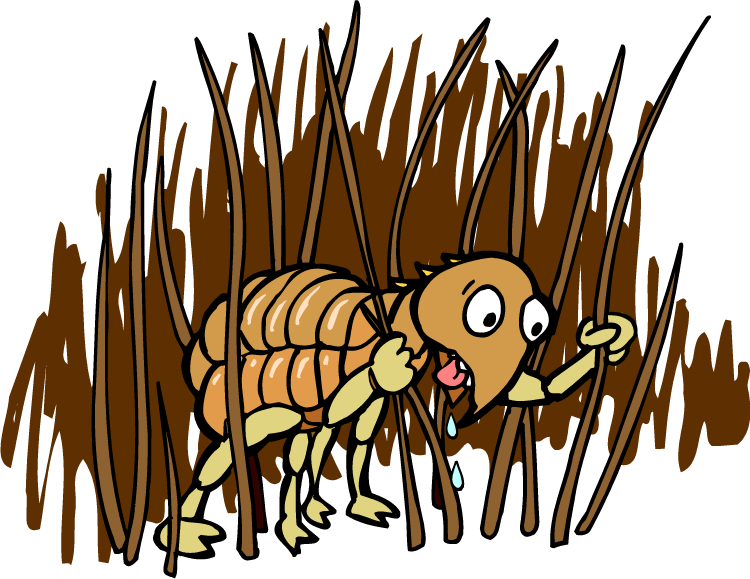 Cartoon Of A Bug In The Grass