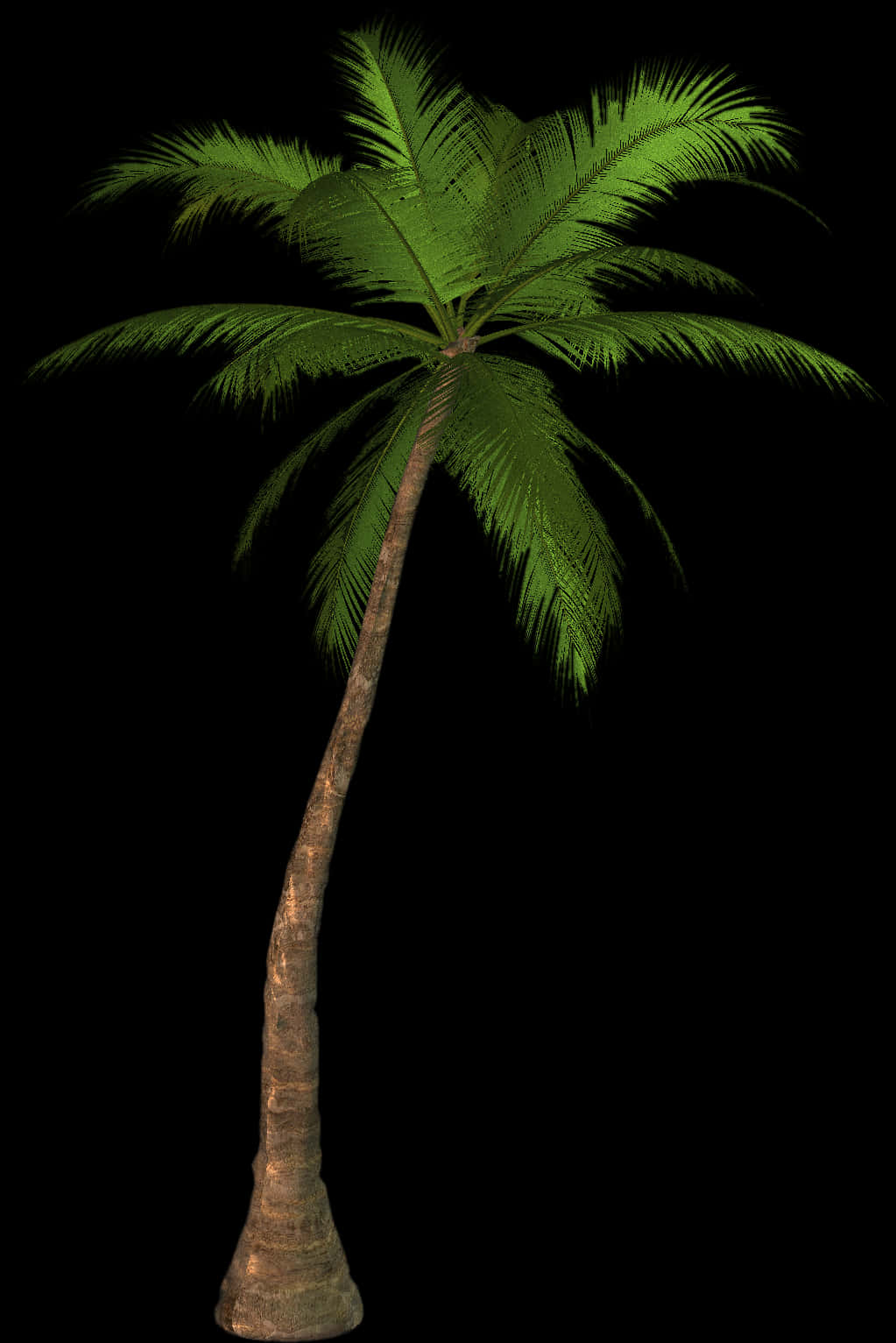 A Palm Tree On A Black Background
