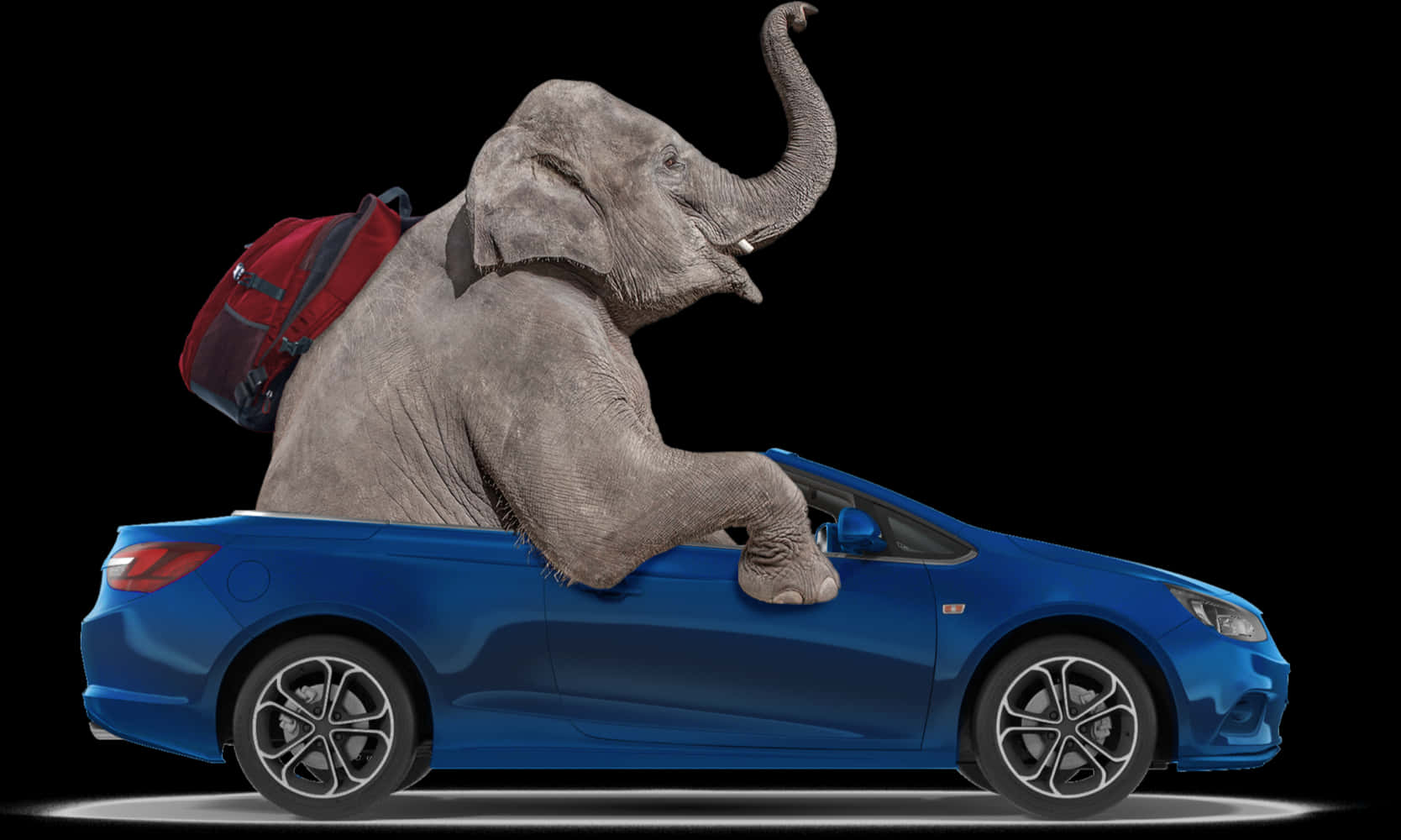 An Elephant Riding In A Blue Car