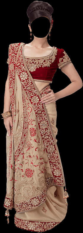 A Woman Wearing A Sari