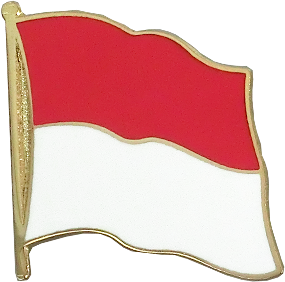 A Red And White Flag Pin