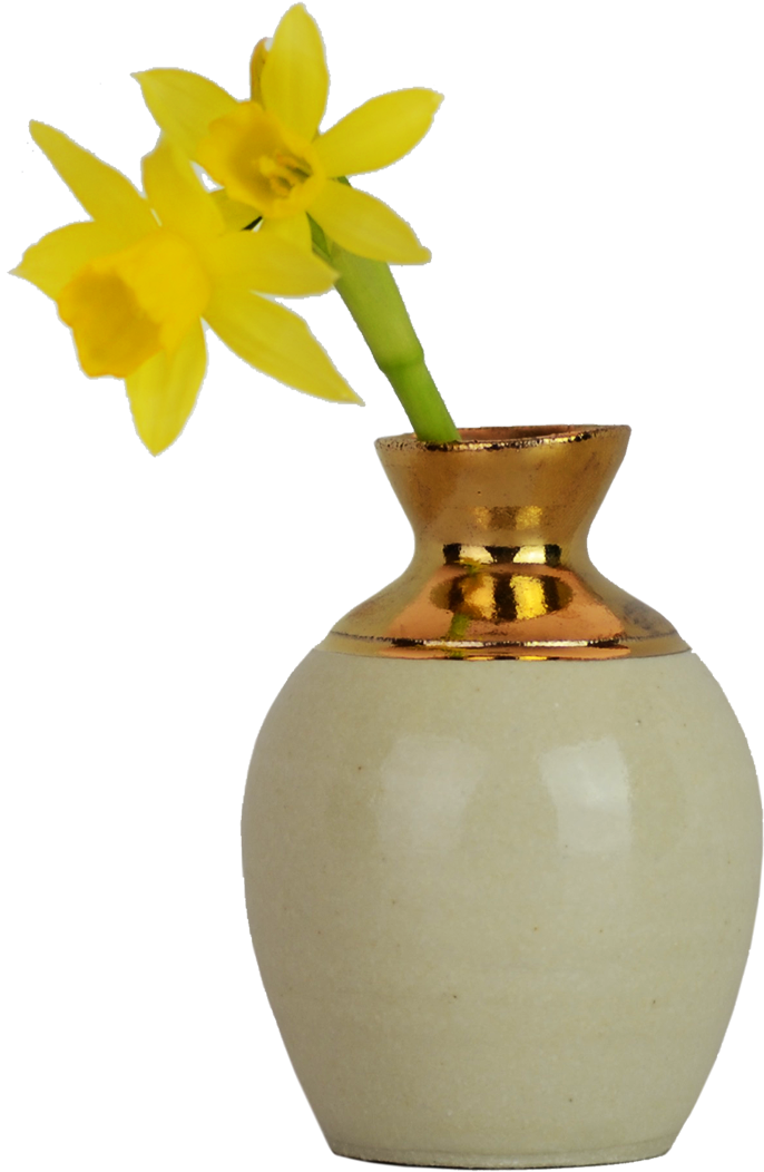 A Yellow Flowers In A Vase