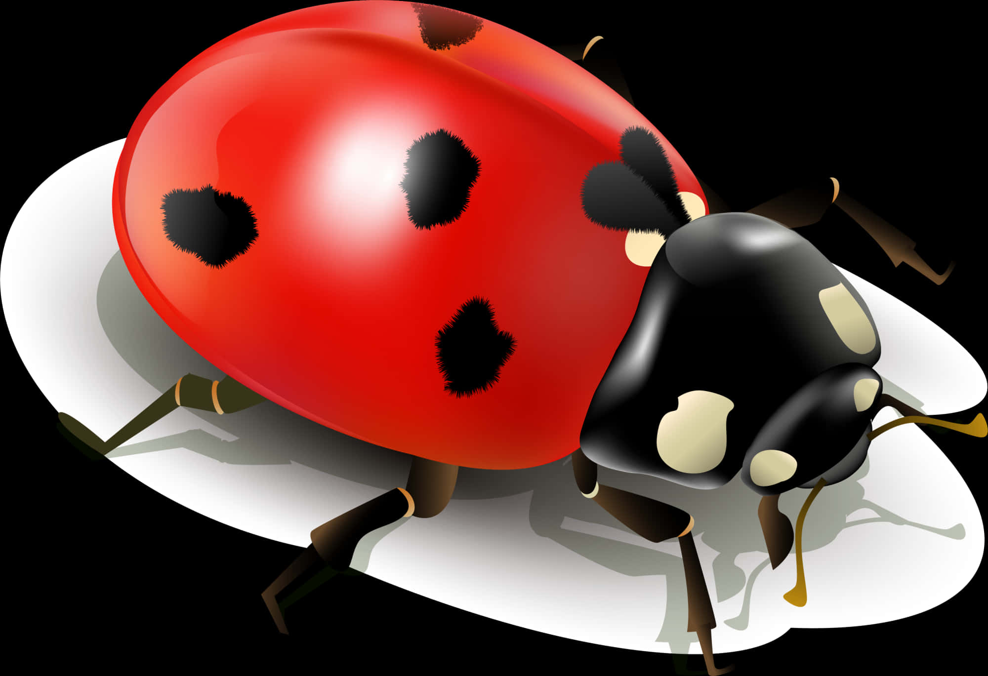 Insect Ladybird Clip Art Simplified Ladybug Ⓒ - Ladybug White Background, Hd Png Download