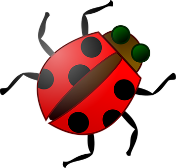 A Red Ladybug With Black Dots