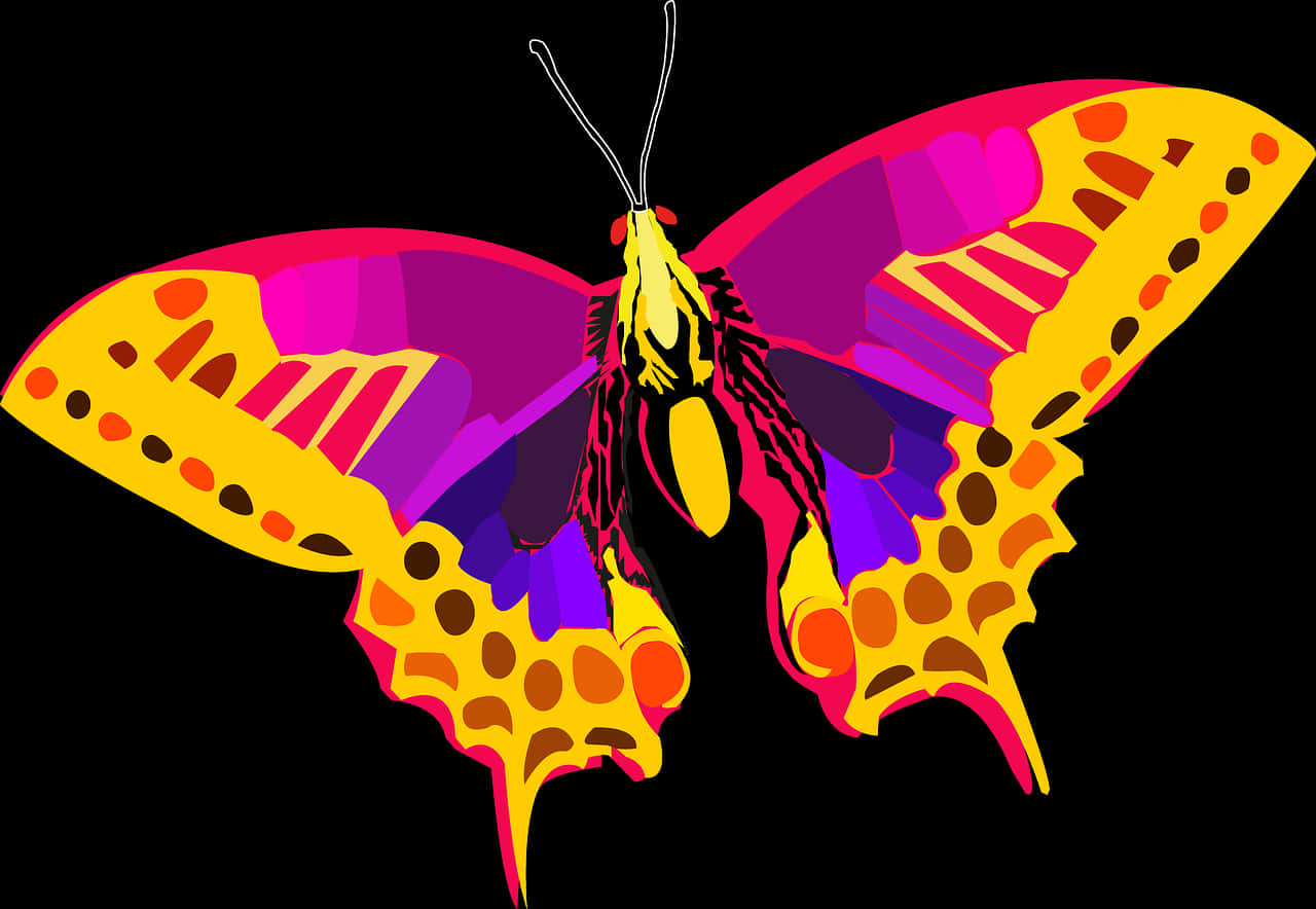 A Colorful Butterfly With Black Background