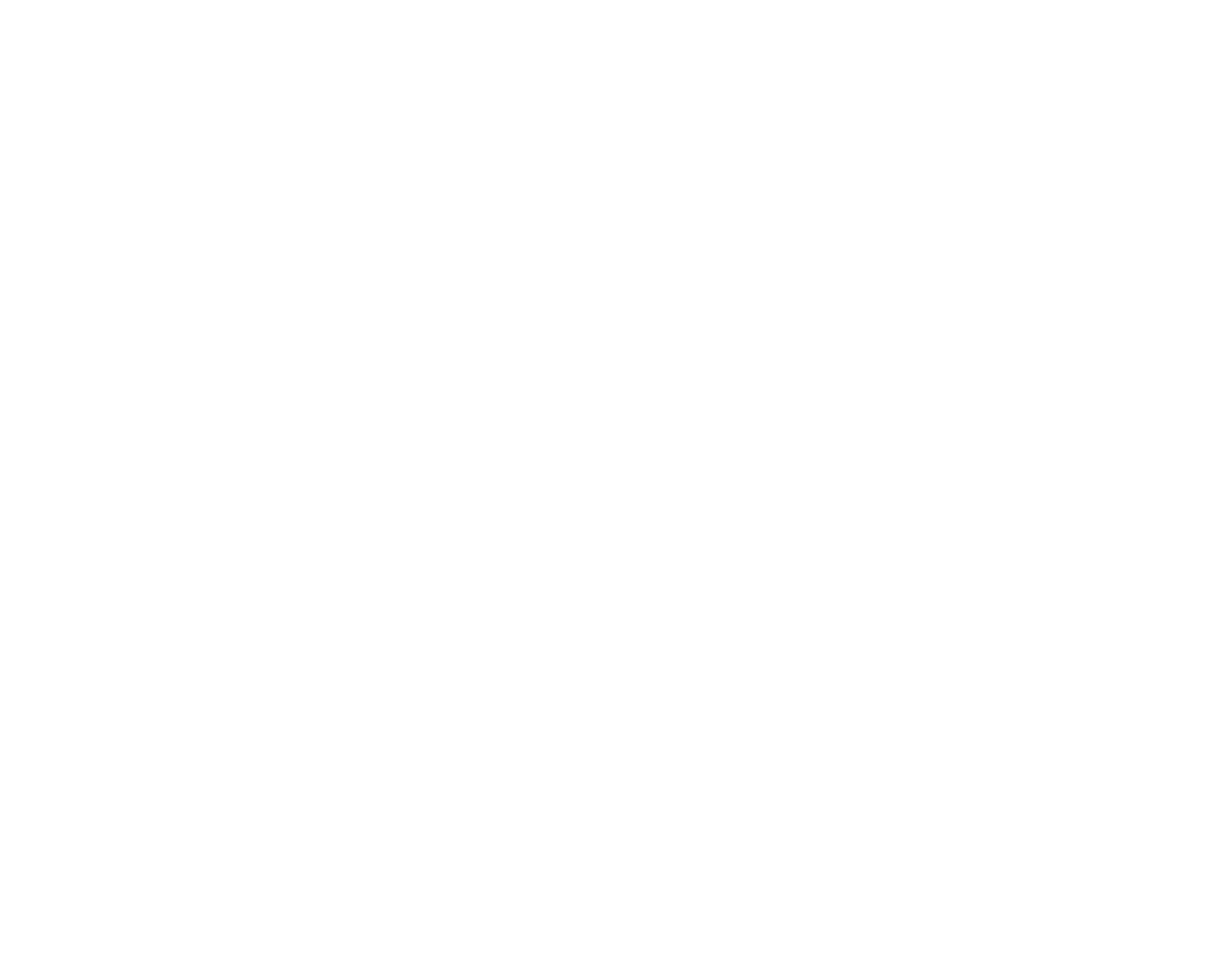 A White Brain With Black Lines