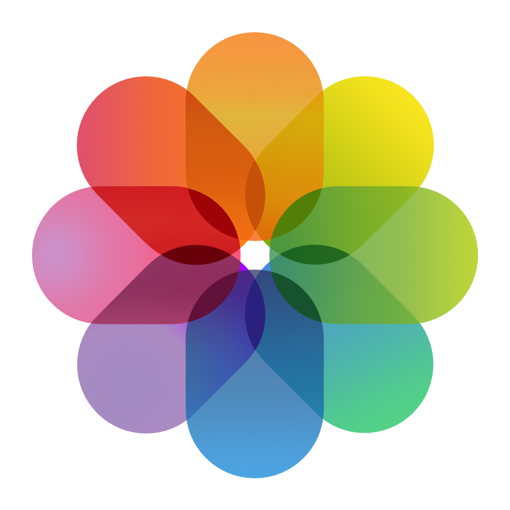 A Colorful Flower In A Circle