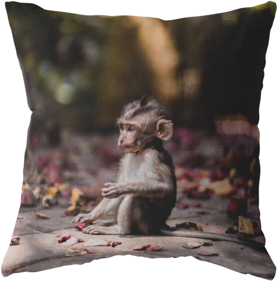 Iphone 8 Plus Monkey , Png Download - Baby Monkey, Transparent Png