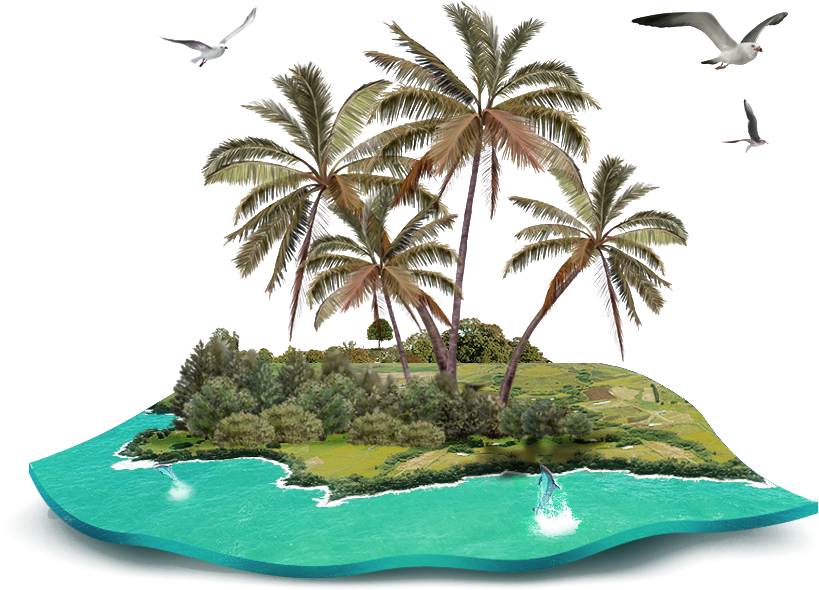 A Small Island With Palm Trees And Birds Flying