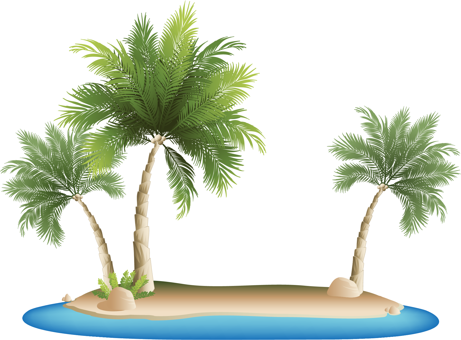 A Palm Trees On An Island
