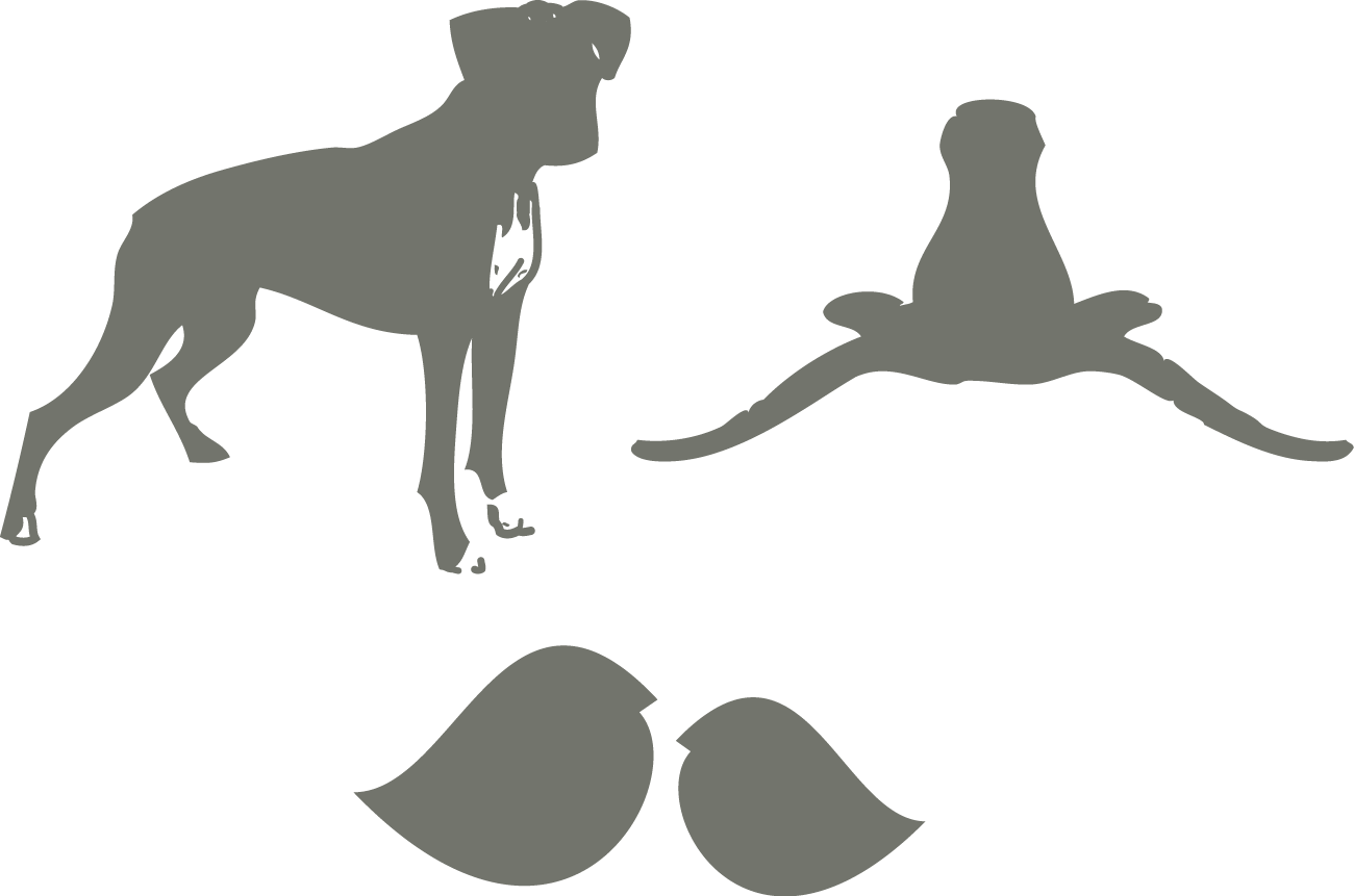 A Dog And A Frog Silhouettes